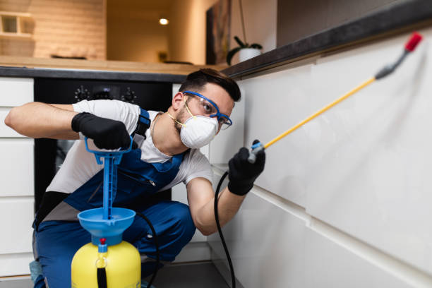 Best Pest Removal Services  in Neptune Beach, FL