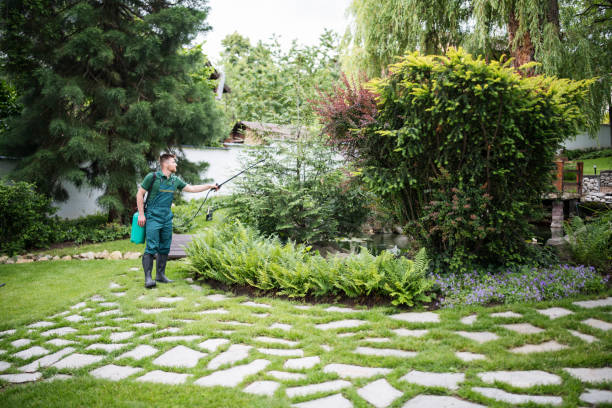 Best Affordable Pest Control Services  in Neptune Beach, FL