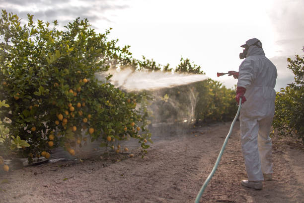  Neptune Beach, FL Pest Control Pros
