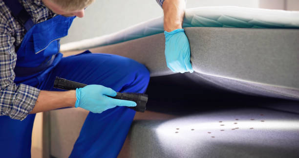 Best Pest Inspection Near Me  in Neptune Beach, FL