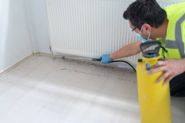 Flea Control Services in Neptune Beach, FL