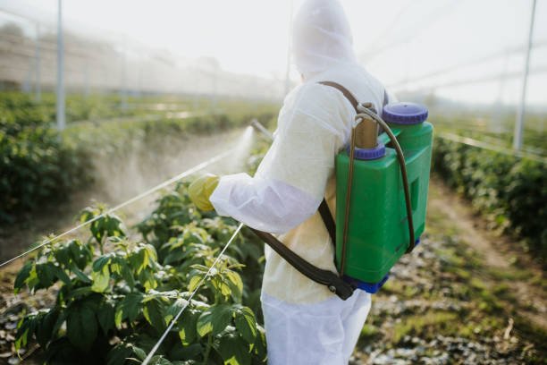 Best Affordable Pest Control Services  in Neptune Beach, FL